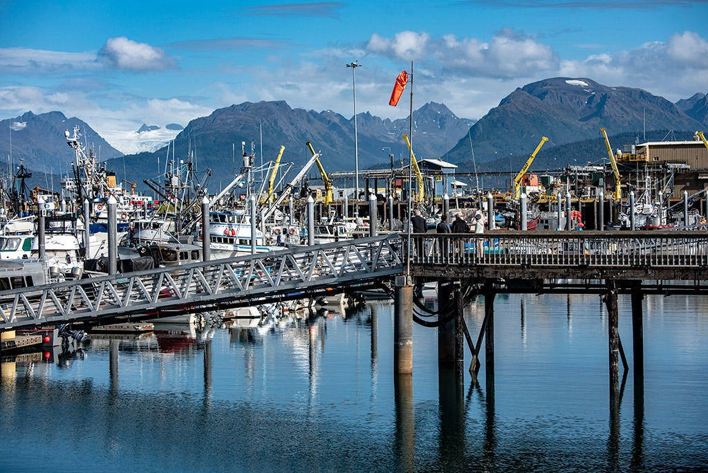 harbor homer alaska - Three best places to visit at Kenai Peninsula Alaska
