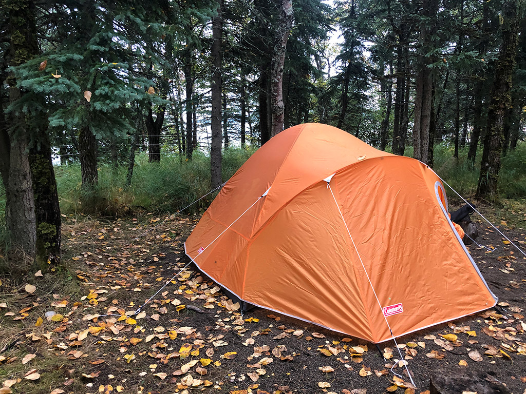 tent put up in the forest 