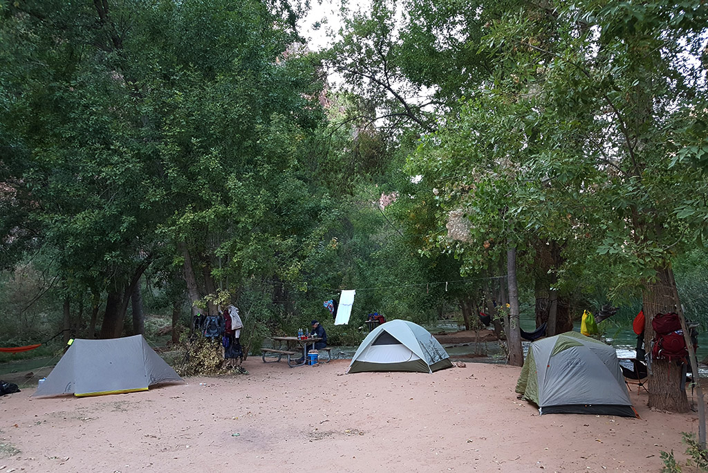 tents and picnic tables at the havasu falls camping among trees.