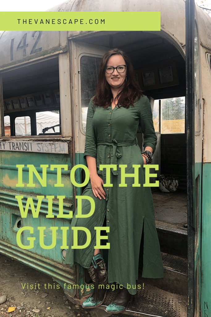 Into the wild – Magic Bus 142
