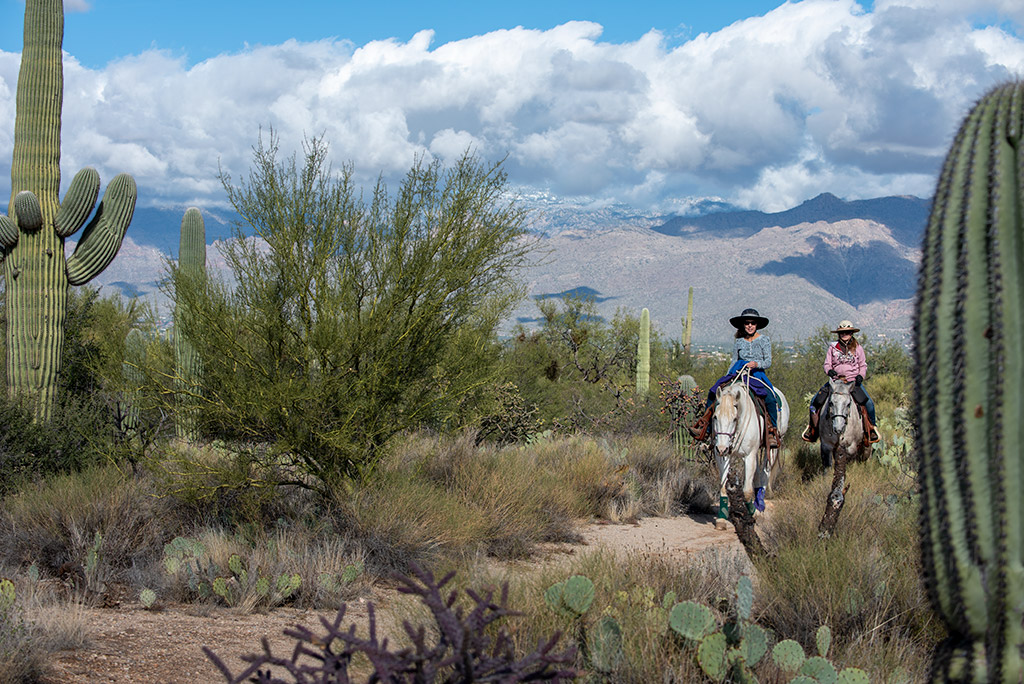  Saguaro National Park