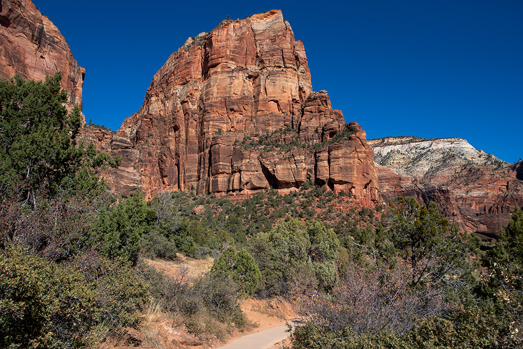 The Angels Landing Trail in Zion