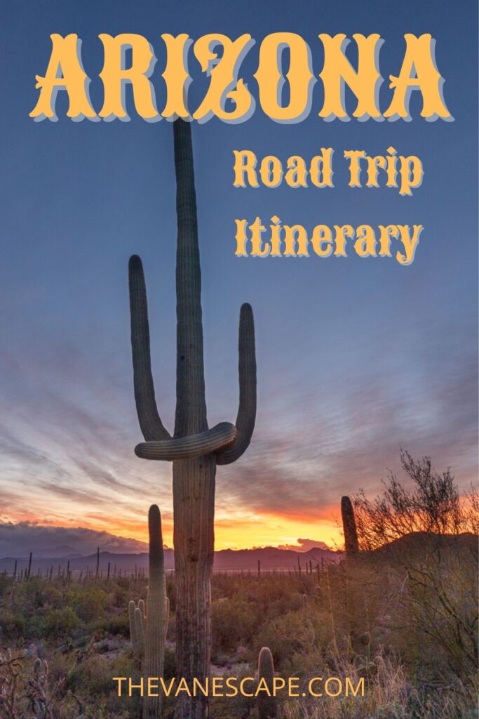 arizona road trip pin