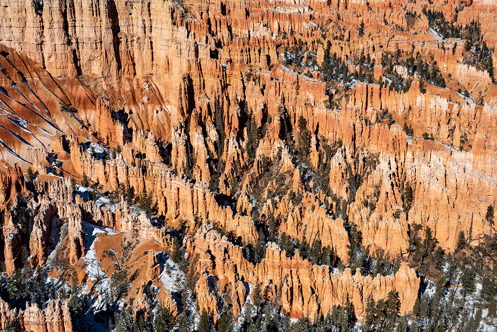 Bryce Canyon hoodoos