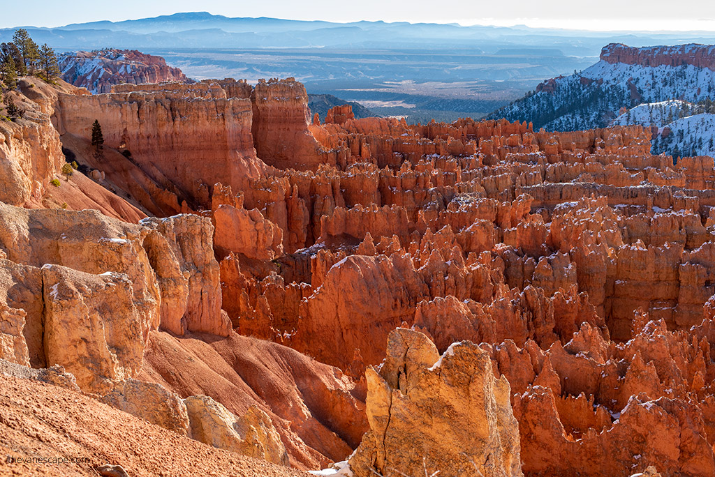 Bryce Canyon hoodoos