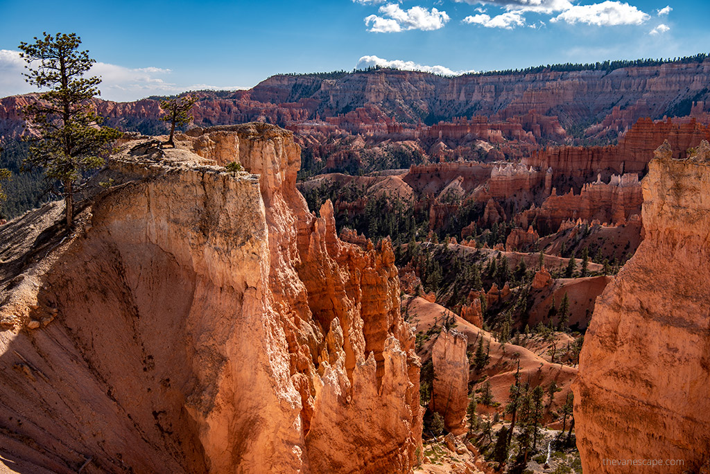 Bryce Canyon hoodoos