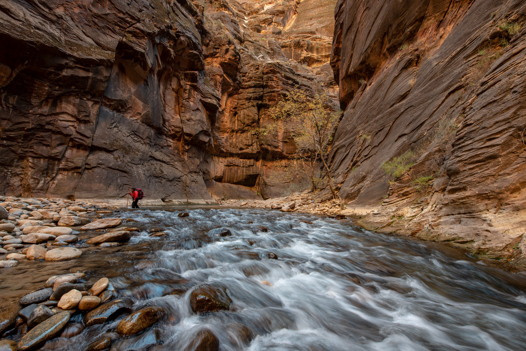 the narrows zion national park