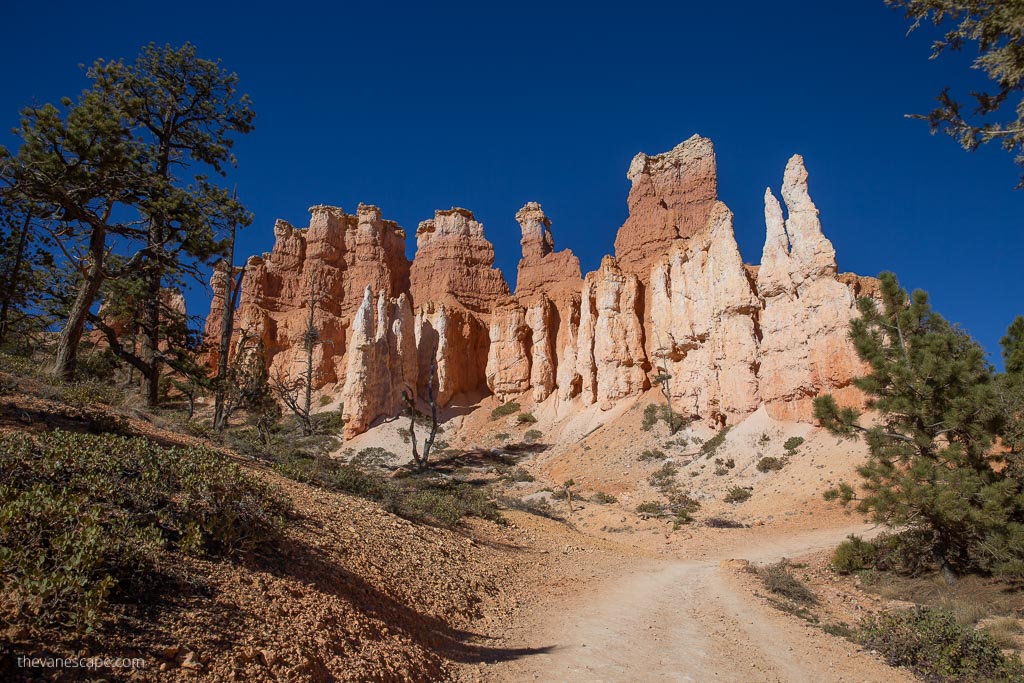 hiking trail in Bryce Canyon