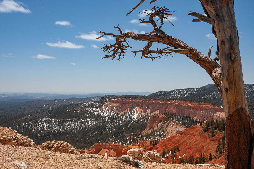 Bryce Canyon hikes