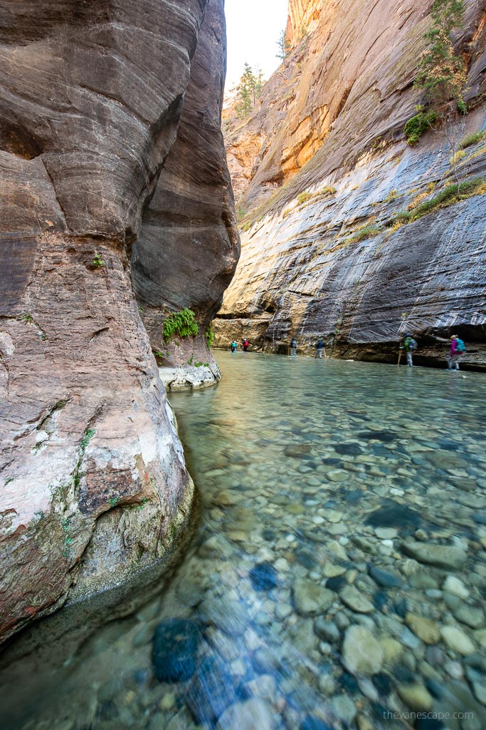 people hiking in the water in Narrows 