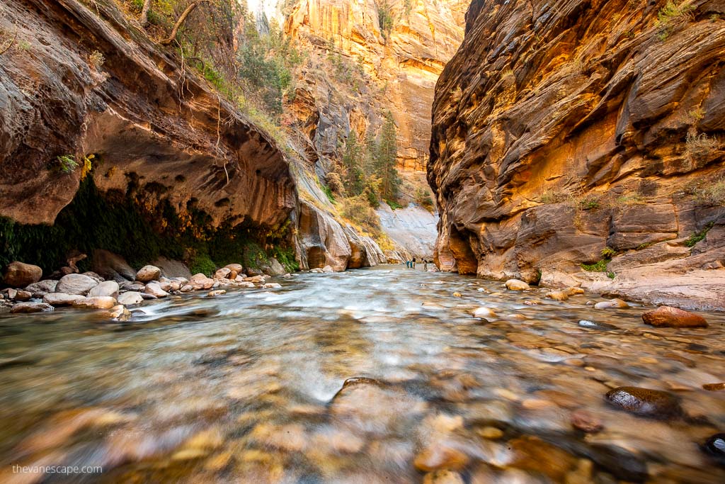 the narrows zion national park hike