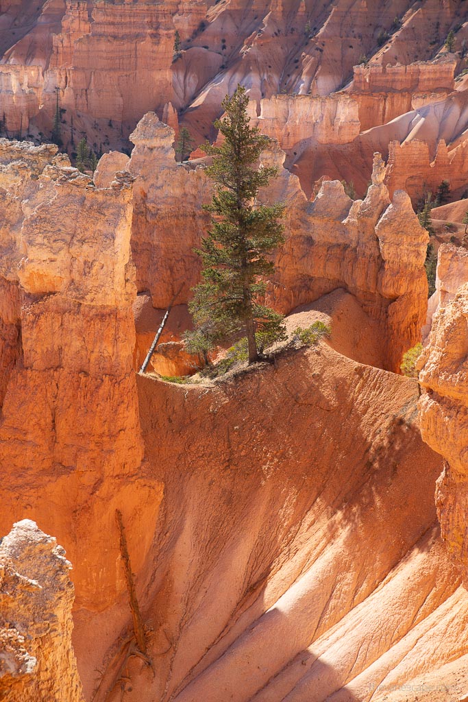 hoodoos in Bryce Canyon National Park.