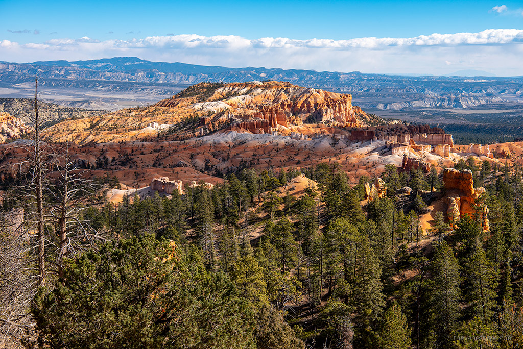 Bryce Canyon hoodoos