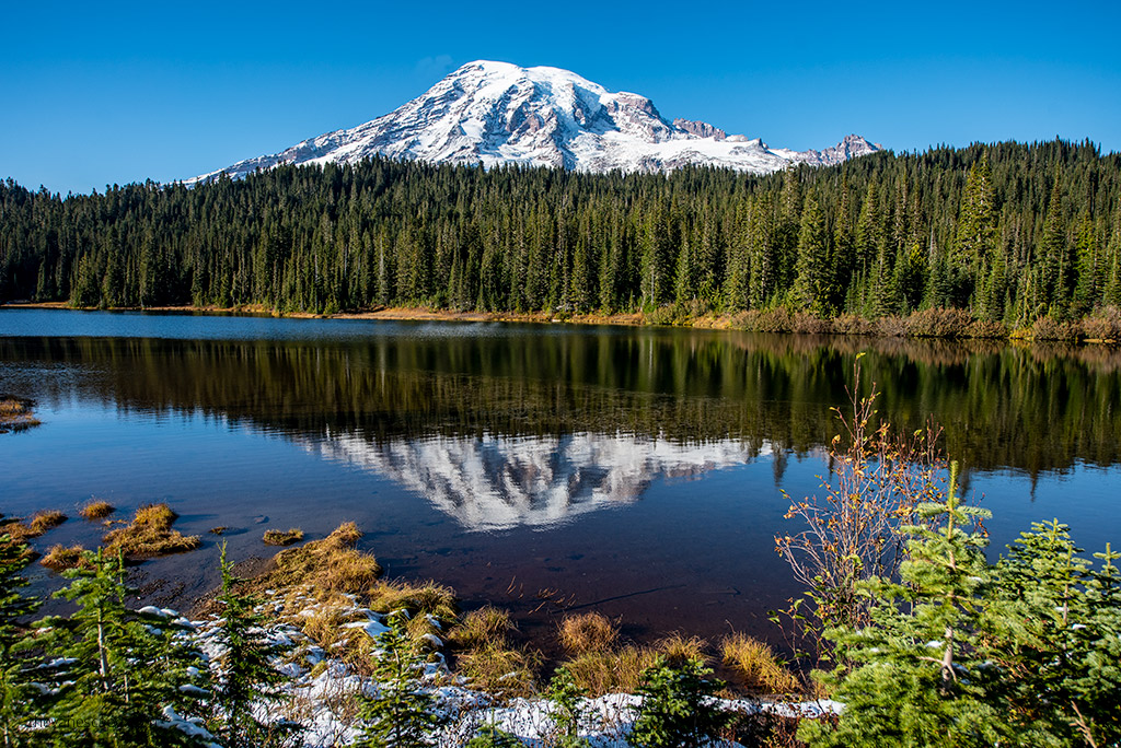 Mt. Rainier National Park