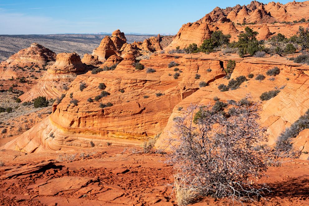 Coyote Buttes South Hike - The Wave Alternative - The Van Escape