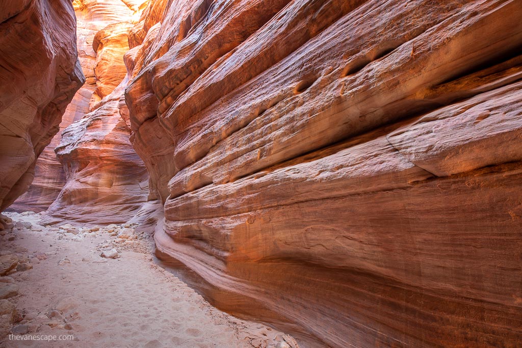 Buckskin Gulch Day Hike