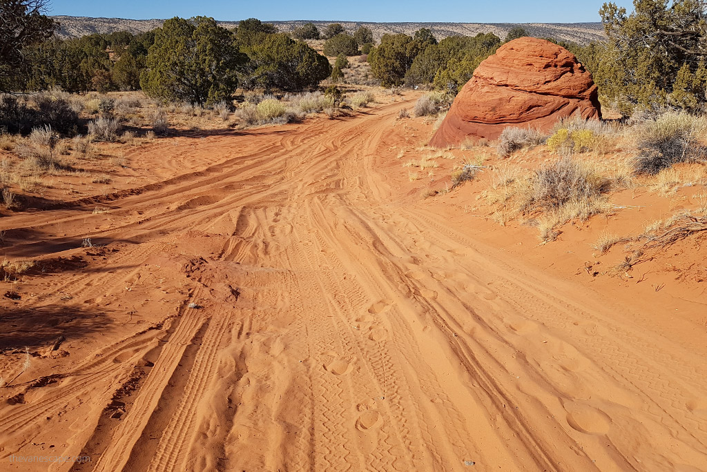 deep sand on the road to the trailhead.