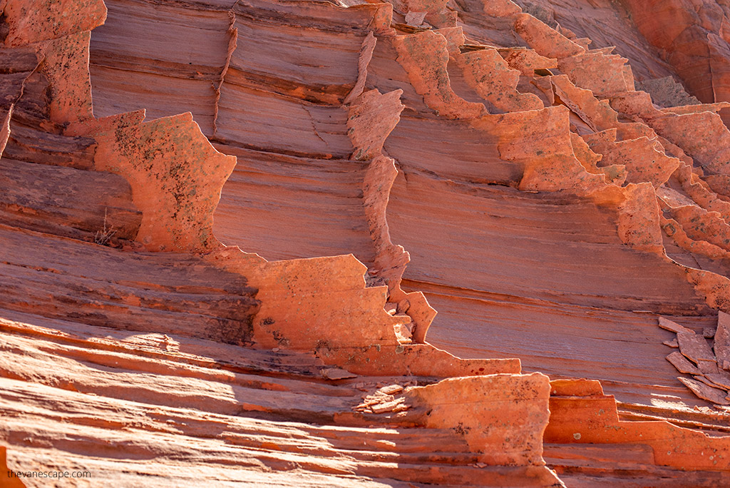 delicate rock formations of Coyote Buttes.