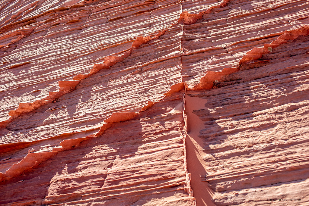 delicate orange formations.