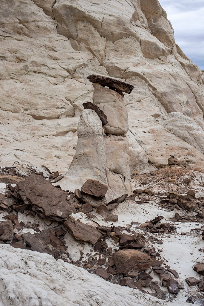 white toadstool hoodoos