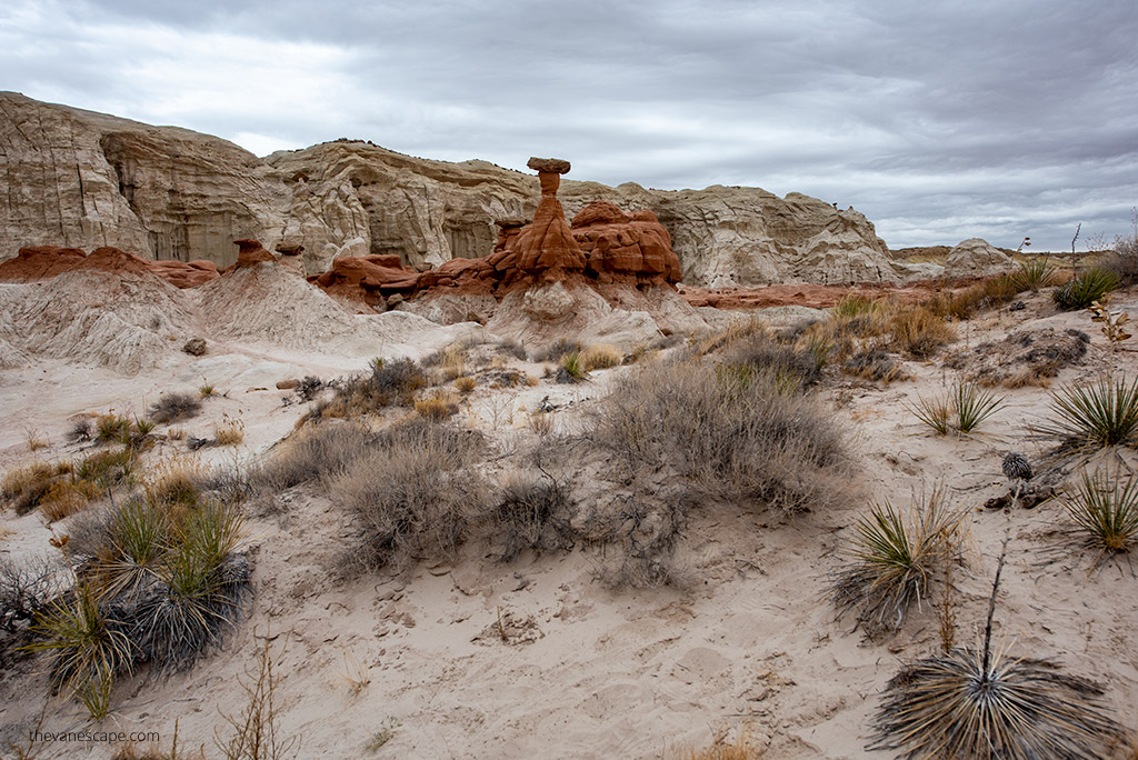 Paria Rimrock Toadstool Hoodoos