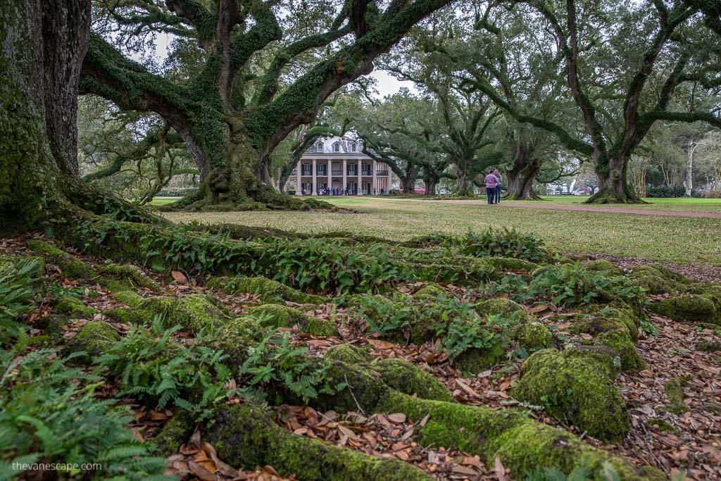 new orleans 3 days itinerary plantation tour