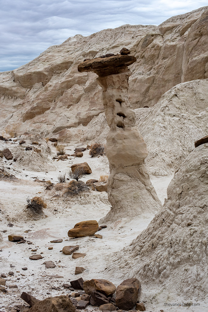 white toadstool hoodoos