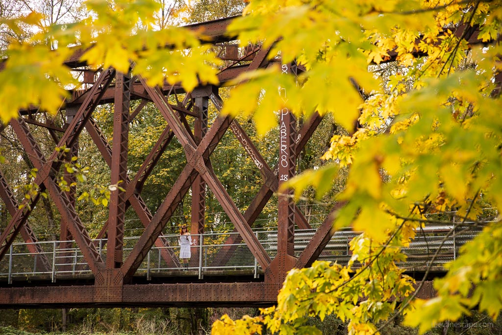 Ronette’s Bridge with yellow fall leaves att the front of rusty brige construction. On the bridge is standing Agnes Stabinska, the author.