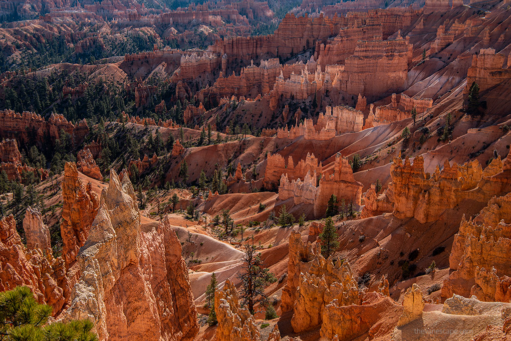 Utah Photography Travel Guide - Bryce