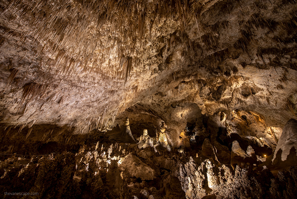 Carlsbad Caverns National Park: stunning stalactites and stalagmites in the softly lit cave.