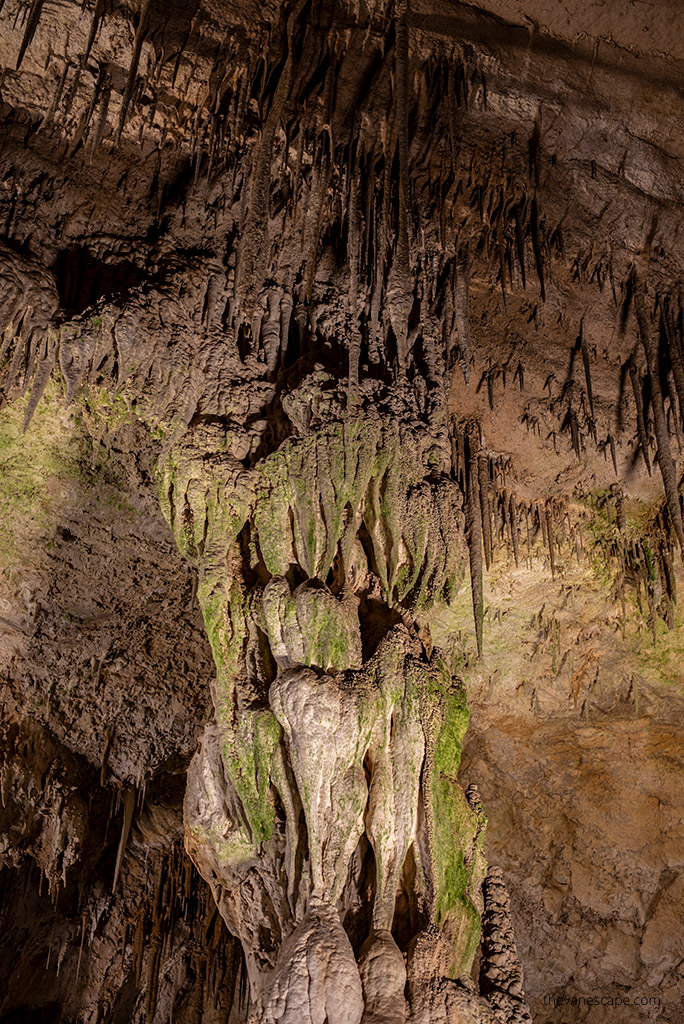Natural Entrance Trail in Carlsbad Caverns