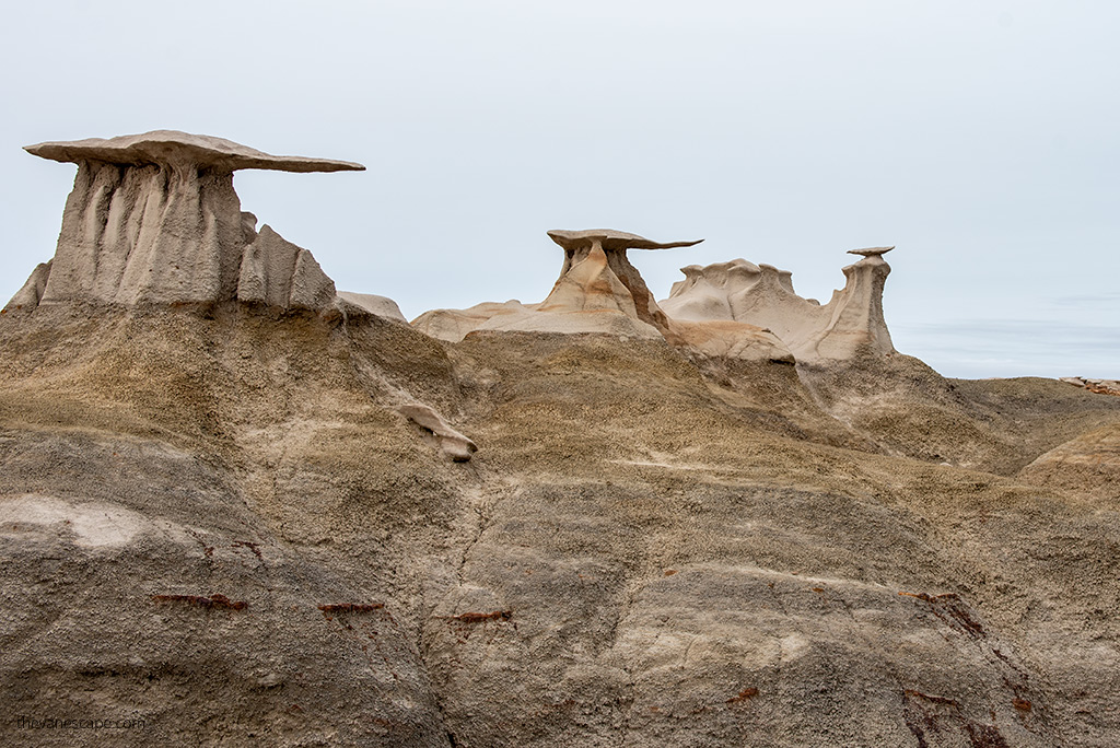 The Stone Wings Bisti Badlands