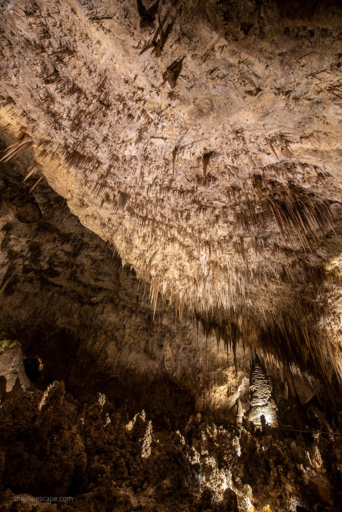 Carlsbad Caverns formations