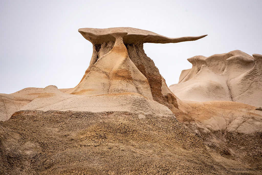 Bisti Badlands delicate rock formations 