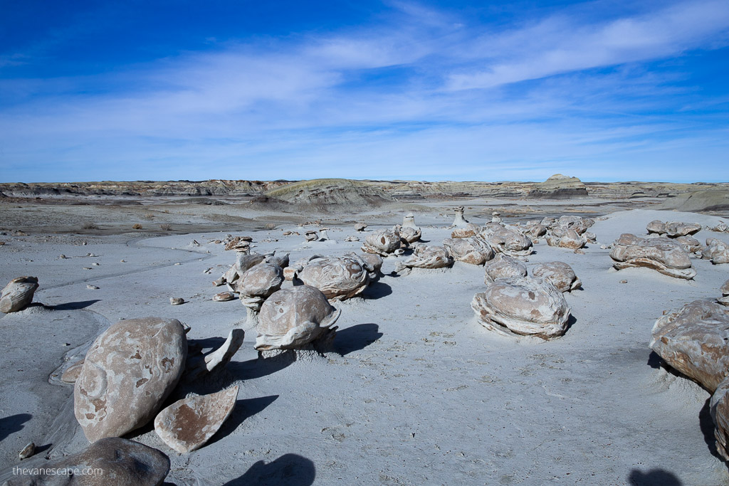 Bisti Badlands Eggs