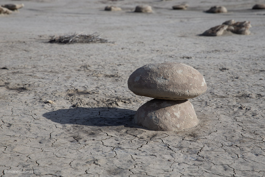 Hiking The Bisti/De-Na-Zin Wilderness