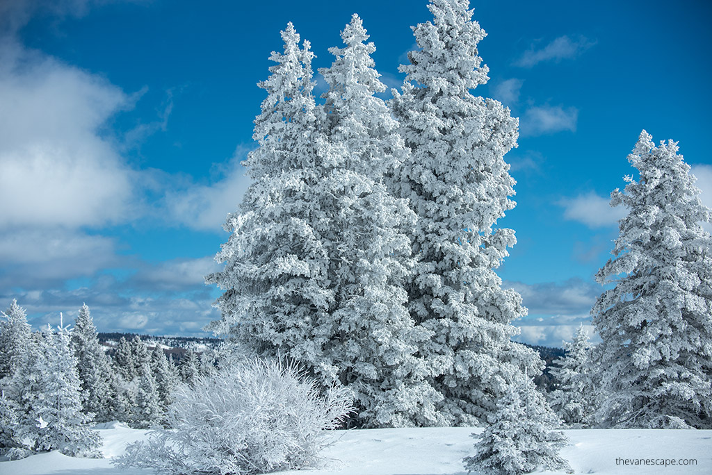 Winter in New Mexico