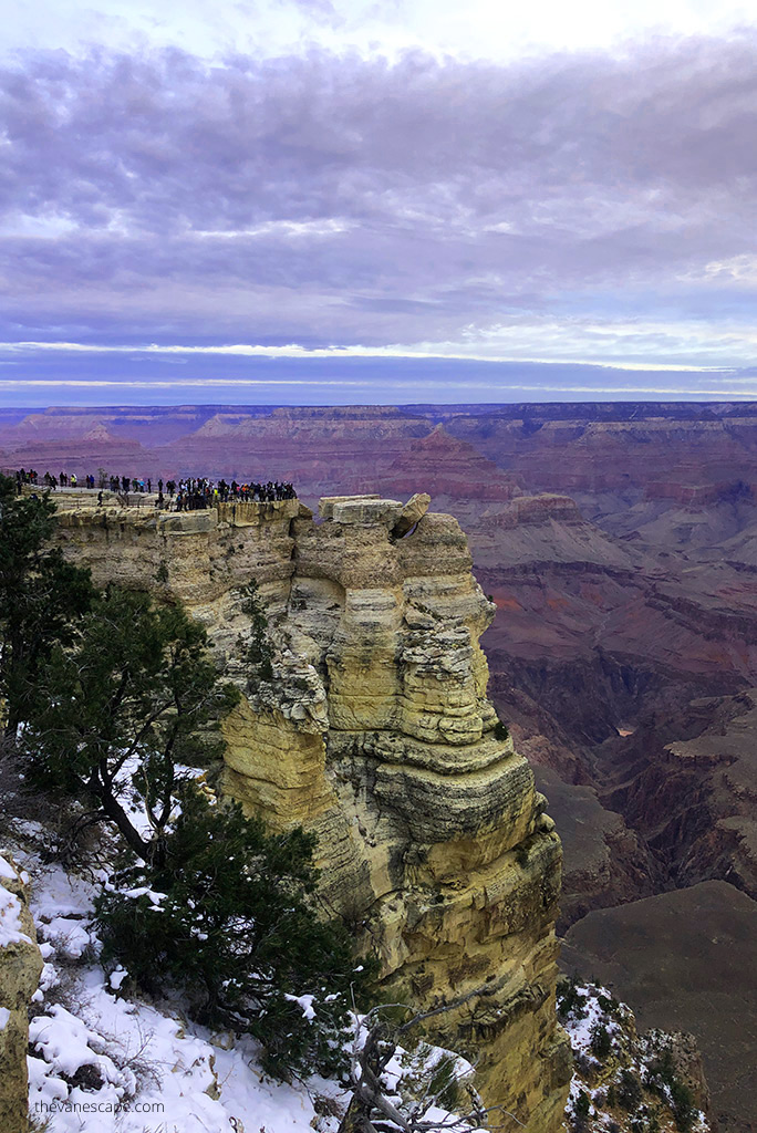 people on the Mother Point Overlook in Grand Canyon National Park during Day Trip From Las Vegas