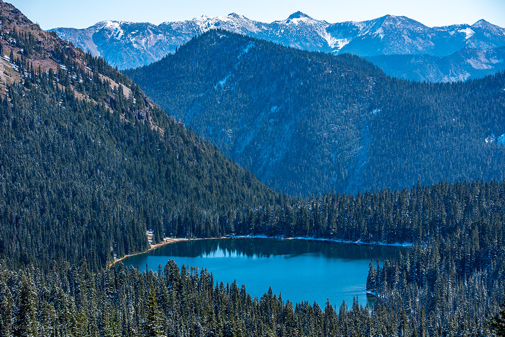 lake in Mount Rainier souronded by deep forest and trees.