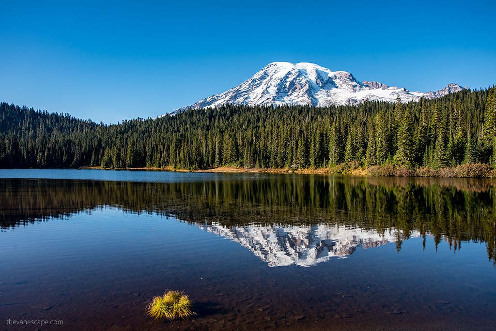 Mount Rainier reflection in the lake.