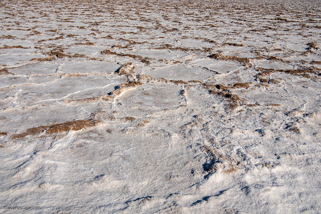 desert in Oregon: the cracked white bottom of the former lake.