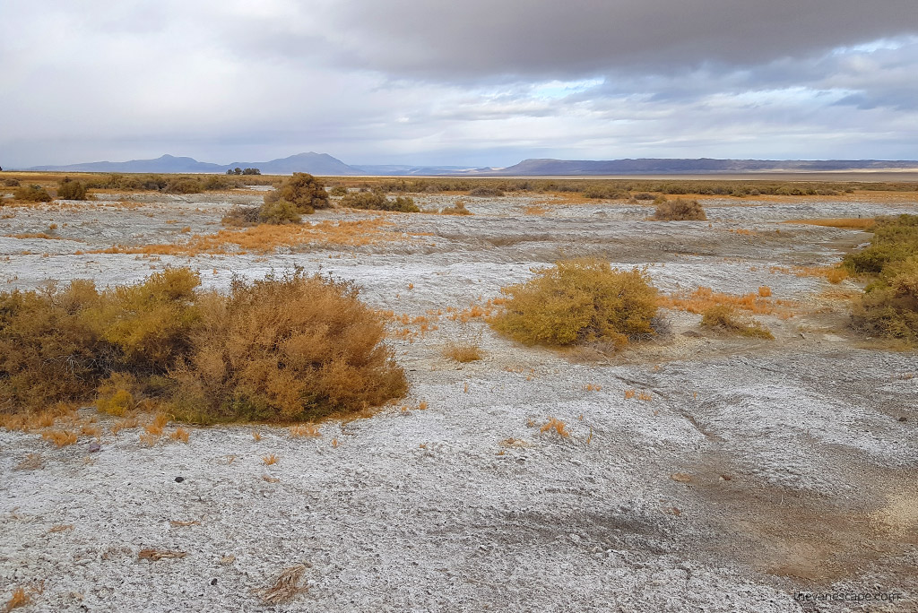 Alvord Desert Oregon