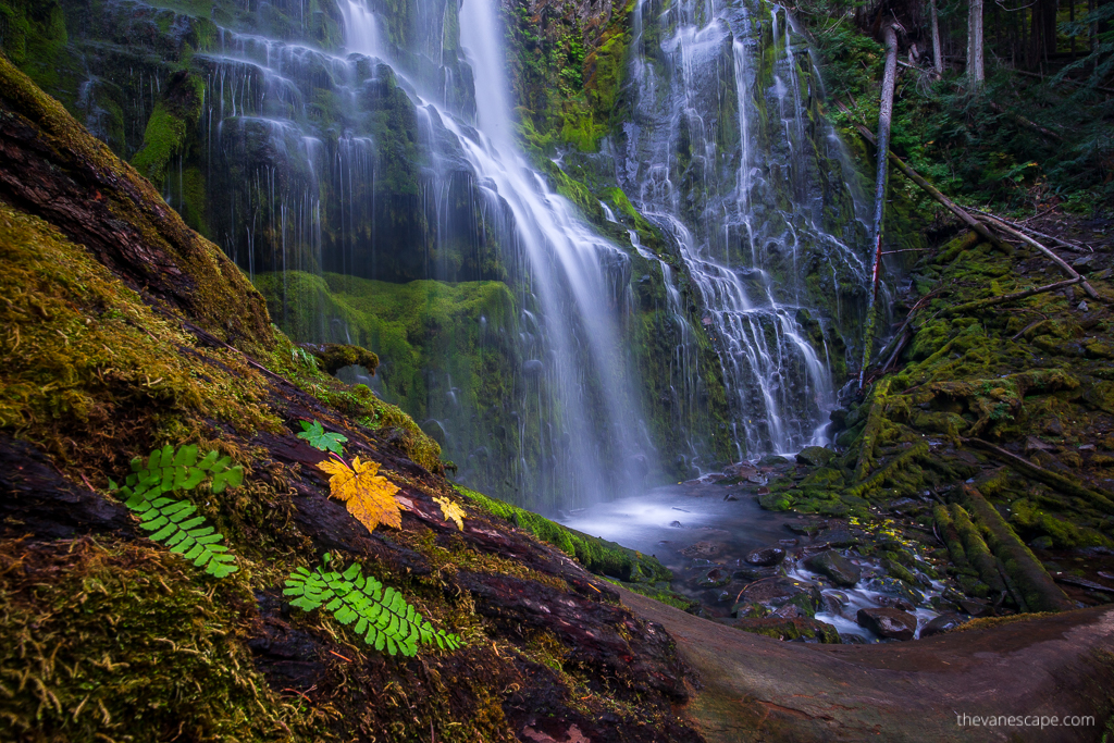 Proxy Falls