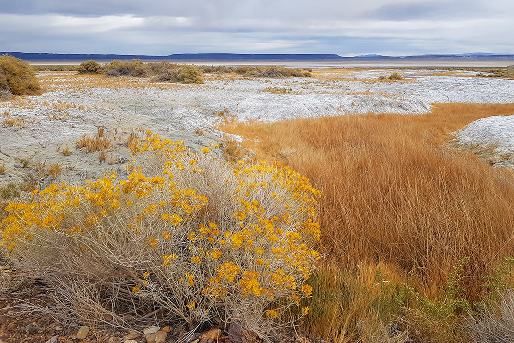 Alvord Desert