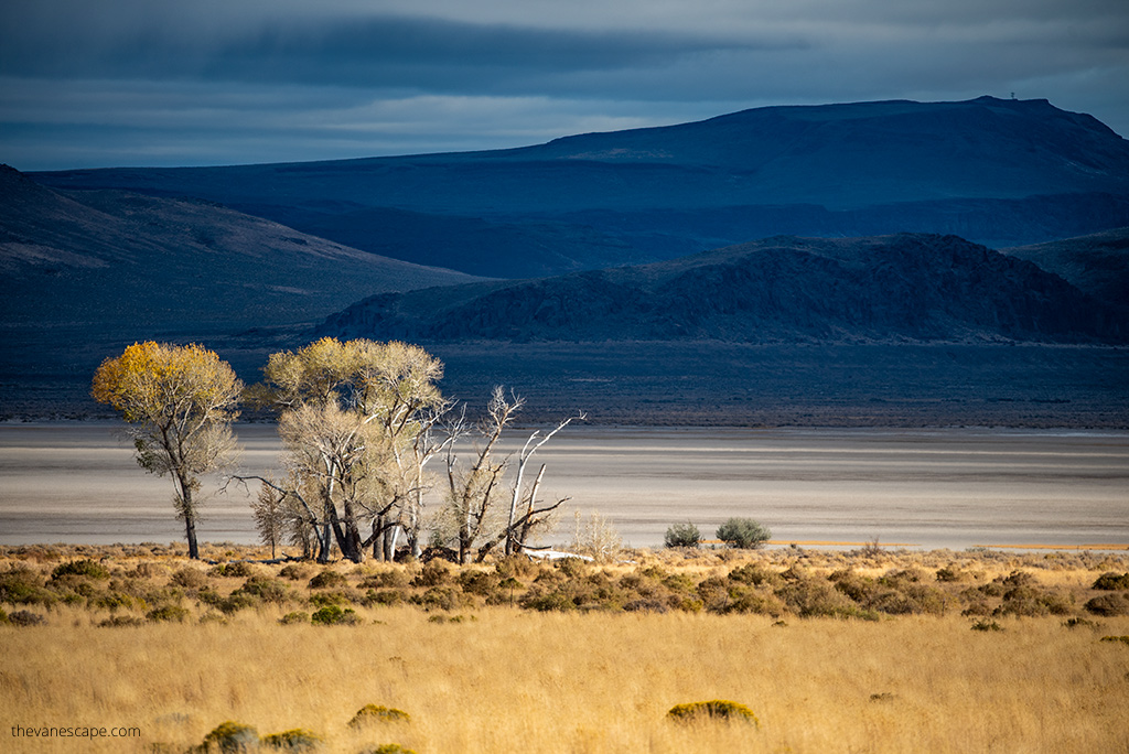 Alvord Desert in Oregon after sunset with yellow grass and mountain view in the backdrop.