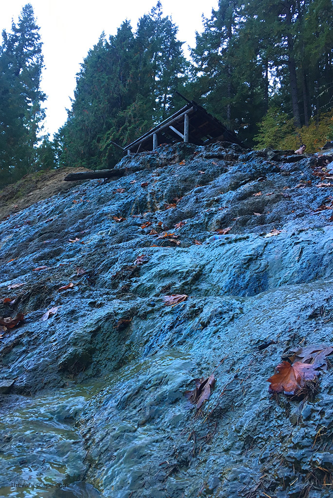 Umpqua Hot Springs Oregon