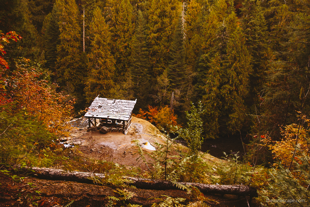 Umpqua Hot Springs during fall with yellow and orange leaves on trees.