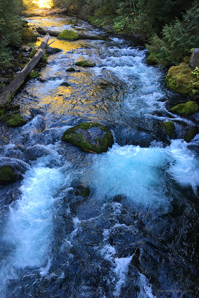 Umpqua River