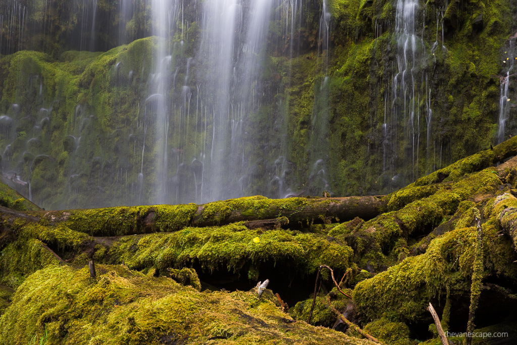 water cascades down green mossy rocks.