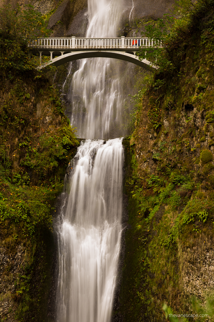 the best Oregon waterfall: close-up view of Benson Bridge, around rocks and greenery.